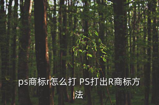 r標怎么打出來，ps商標r怎么打 PS打出R商標方法