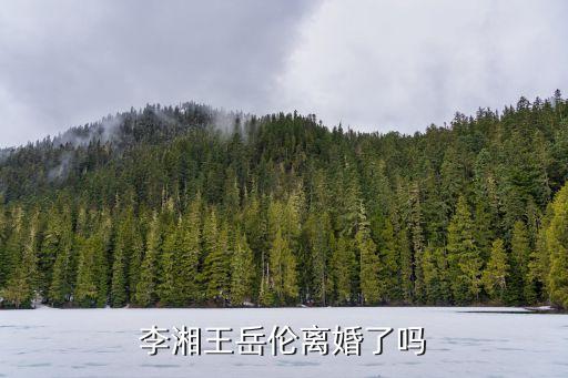 李湘王岳倫離婚了嗎