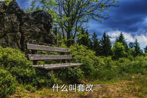 套改，什么叫套改