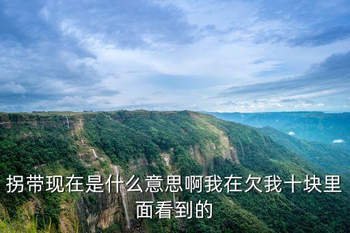 拐帶現(xiàn)在是什么意思啊我在欠我十塊里面看到的
