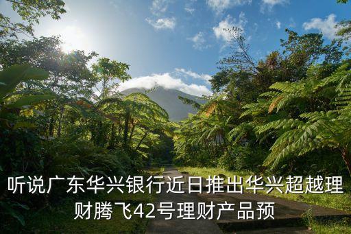 廣東華興，廣東華興銀行怎么樣