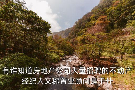 什么是置業(yè)顧問，置業(yè)顧問是做什么的