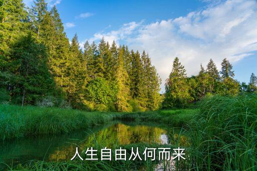 人生自由，人生自由從何而來