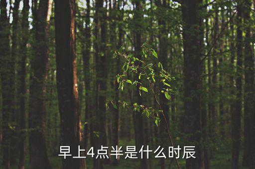 早上4點(diǎn)半是什么時(shí)辰