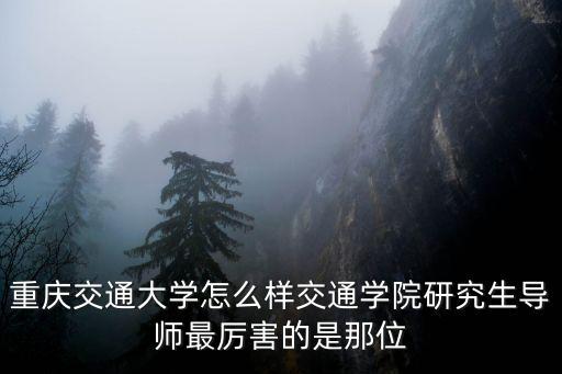 重慶交通大學(xué)怎么樣交通學(xué)院研究生導(dǎo)師最厲害的是那位