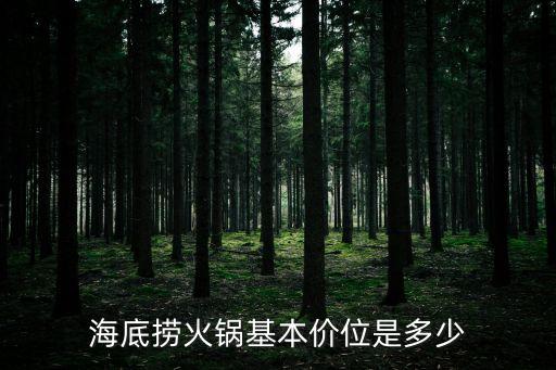 海底撈火鍋基本價(jià)位是多少