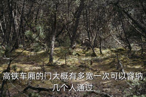 高鐵車廂的門大概有多寬一次可以容納幾個(gè)人通過