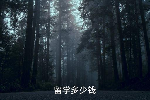 留學(xué)多少錢