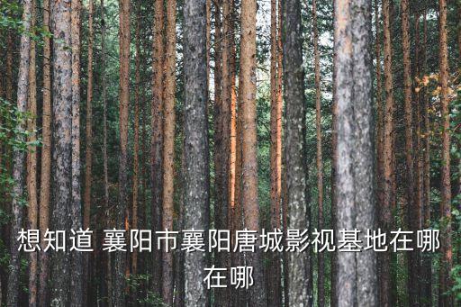 唐城在哪里，想知道 襄陽市襄陽唐城影視基地在哪在哪