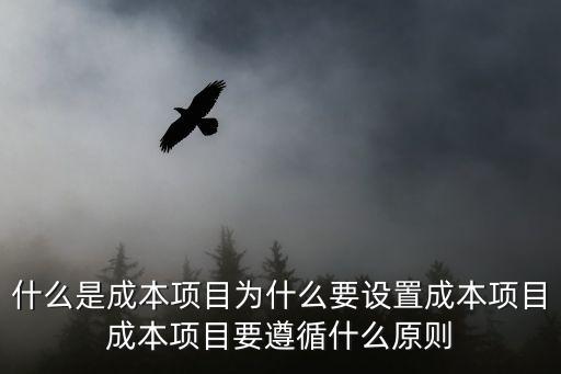 成本項目，什么是成本項目