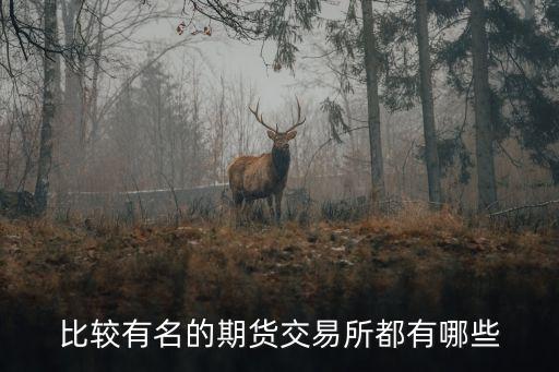 期貨交易所，中國四大期貨交易所