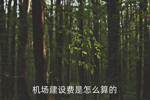 機(jī)建費(fèi)，請問現(xiàn)在飛機(jī)燃油費(fèi)和機(jī)建費(fèi)是多少