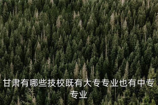 甘肅有哪些技校既有大專專業(yè)也有中專專業(yè)