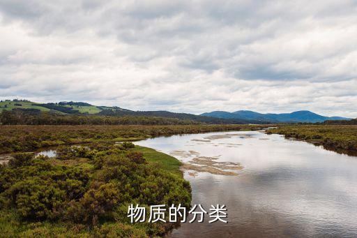 物質(zhì)的分類