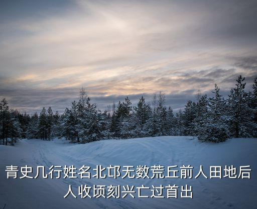 青史幾行姓名北邙無數(shù)荒丘前人田地后人收頃刻興亡過首出