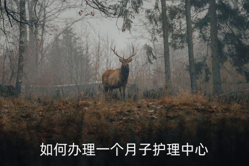 如何辦理一個(gè)月子護(hù)理中心