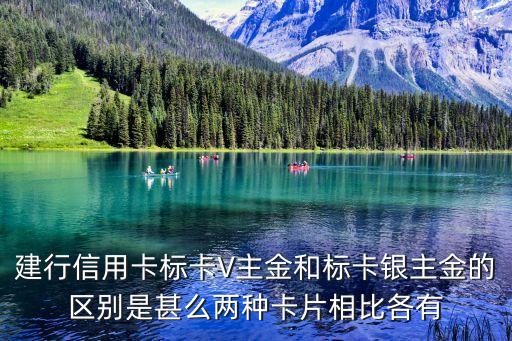 建行信用卡標(biāo)卡V主金和標(biāo)卡銀主金的區(qū)別是甚么兩種卡片相比各有