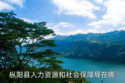 安慶市人力資源和社會保障局，樅陽縣人力資源和社會保障局在哪