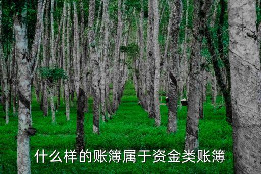 資金賬簿，資金賬簿的介紹