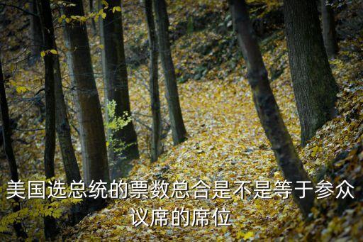 美國選總統(tǒng)的票數(shù)總合是不是等于參眾議席的席位