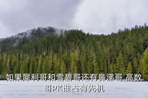 高數(shù)哥，如果犀利哥和雪碧哥還有鼻涕哥 高數(shù)哥PK誰占有先機
