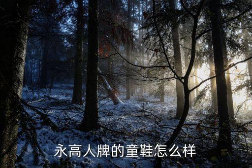 永高人，永高人童鞋質(zhì)量怎么樣