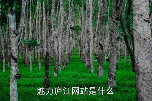 魅力廬江網(wǎng)站是什么