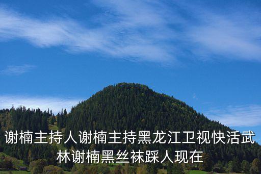 謝楠主持人謝楠主持黑龍江衛(wèi)視快活武林謝楠黑絲襪踩人現(xiàn)在
