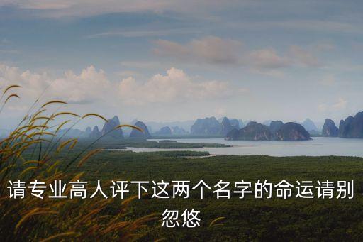 請(qǐng)專(zhuān)業(yè)高人評(píng)下這兩個(gè)名字的命運(yùn)請(qǐng)別忽悠