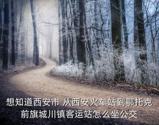 想知道西安市 從西安火車站到鄂托克前旗城川鎮(zhèn)客運站怎么坐公交