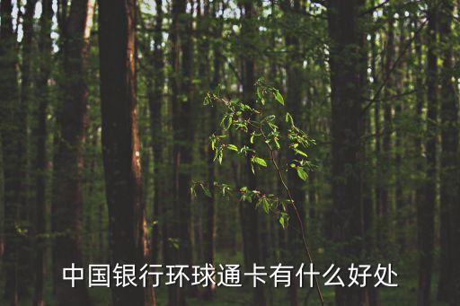 環(huán)球通，中行長城信用卡環(huán)球通年費多少錢