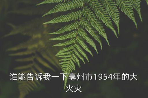 誰能告訴我一下亳州市1954年的大火災
