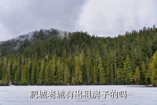 肥城老城有出租房子的嗎