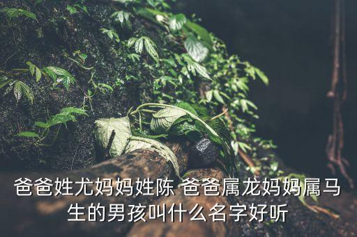 陳優(yōu)，爸爸姓尤媽媽姓陳 爸爸屬龍媽媽屬馬生的男孩叫什么名字好聽
