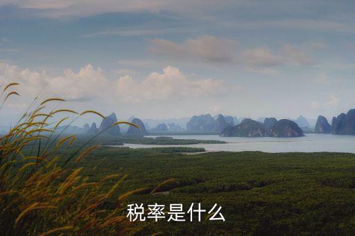 稅率是什么