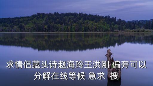 求情侶藏頭詩(shī)趙海玲王洪剛 偏旁可以分解在線等候 急求  搜