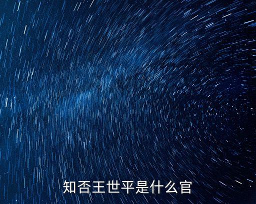 知否王世平是什么官