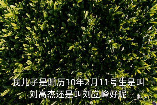 我兒子是陽(yáng)歷10年2月11號(hào)生是叫劉高杰還是叫劉立峰好呢