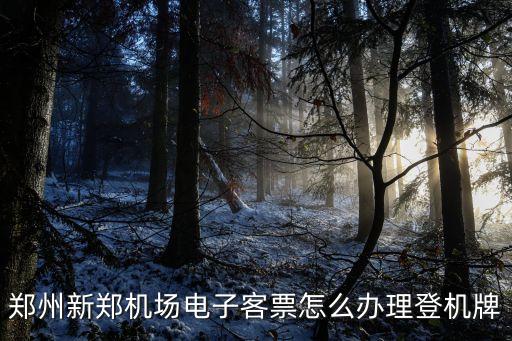 鄭州新鄭機(jī)場(chǎng)電子客票怎么辦理登機(jī)牌