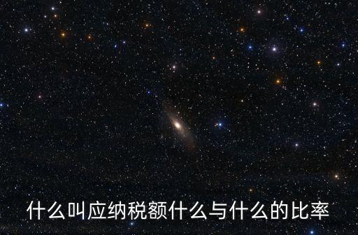應納稅額，應納稅額是什么意思