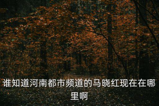 誰知道河南都市頻道的馬曉紅現(xiàn)在在哪里啊