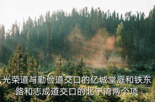 光榮道與勤儉道交口的億城堂庭和鐵東路和志成道交口的北寧灣兩個項