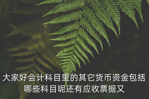其他貨幣資金包括哪些科目，大家好會計科目里的其它貨幣資金包括哪些科目呢還有應(yīng)收票據(jù)又