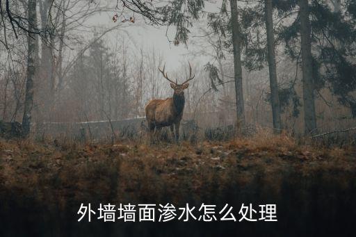 外墻滲水，外墻滲水有什么解決方法