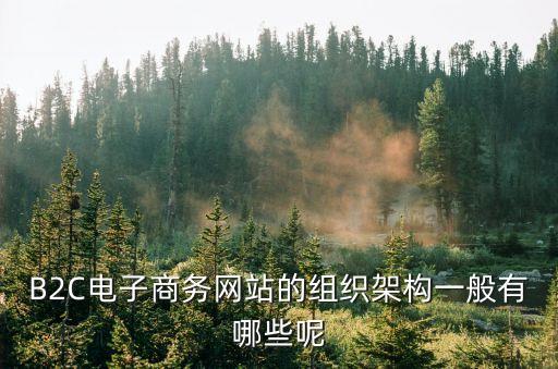 電商公司組織架構(gòu)，B2C電子商務(wù)網(wǎng)站的組織架構(gòu)一般有哪些呢