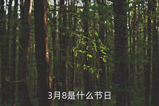 3月8日是什么節(jié)日，3月8號(hào)是什么節(jié)日