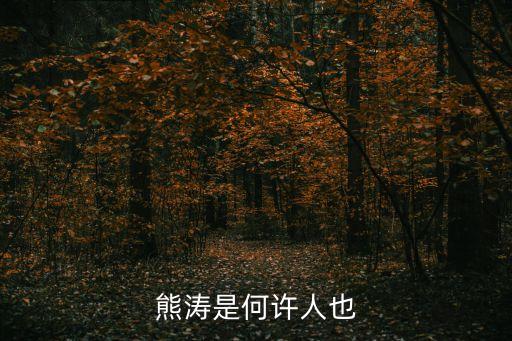 熊濤是何許人也