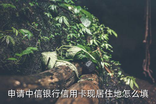 申請中信銀行信用卡現(xiàn)居住地怎么填