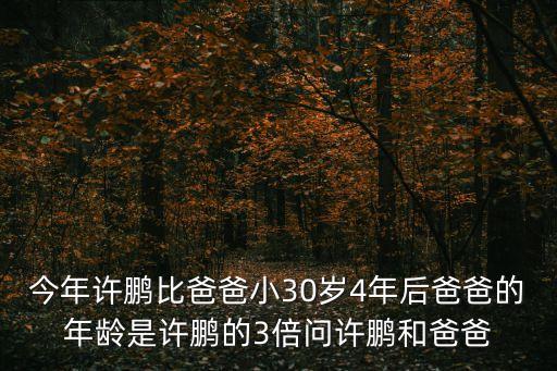 許鵬，今年許鵬比爸爸小30歲4年后爸爸的年齡是許鵬的3倍問許鵬和爸爸