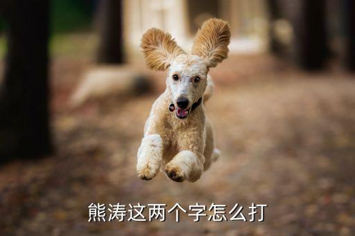 熊濤這兩個字怎么打